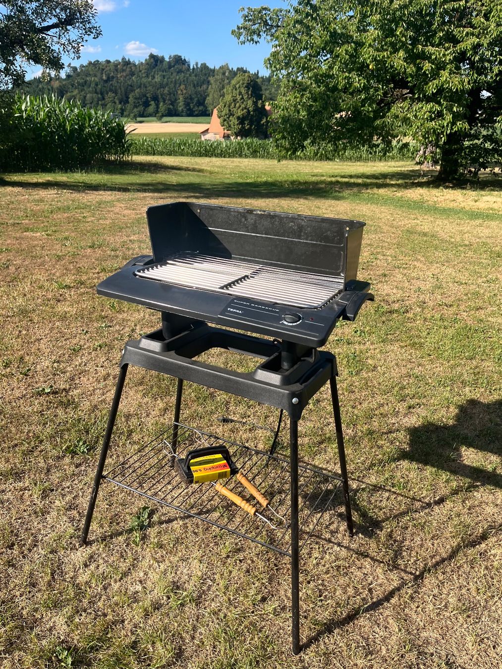 Tefal Griglie: Elektrogrill Tefal – Usato da Allmendingen b. BE venduto da juair 2