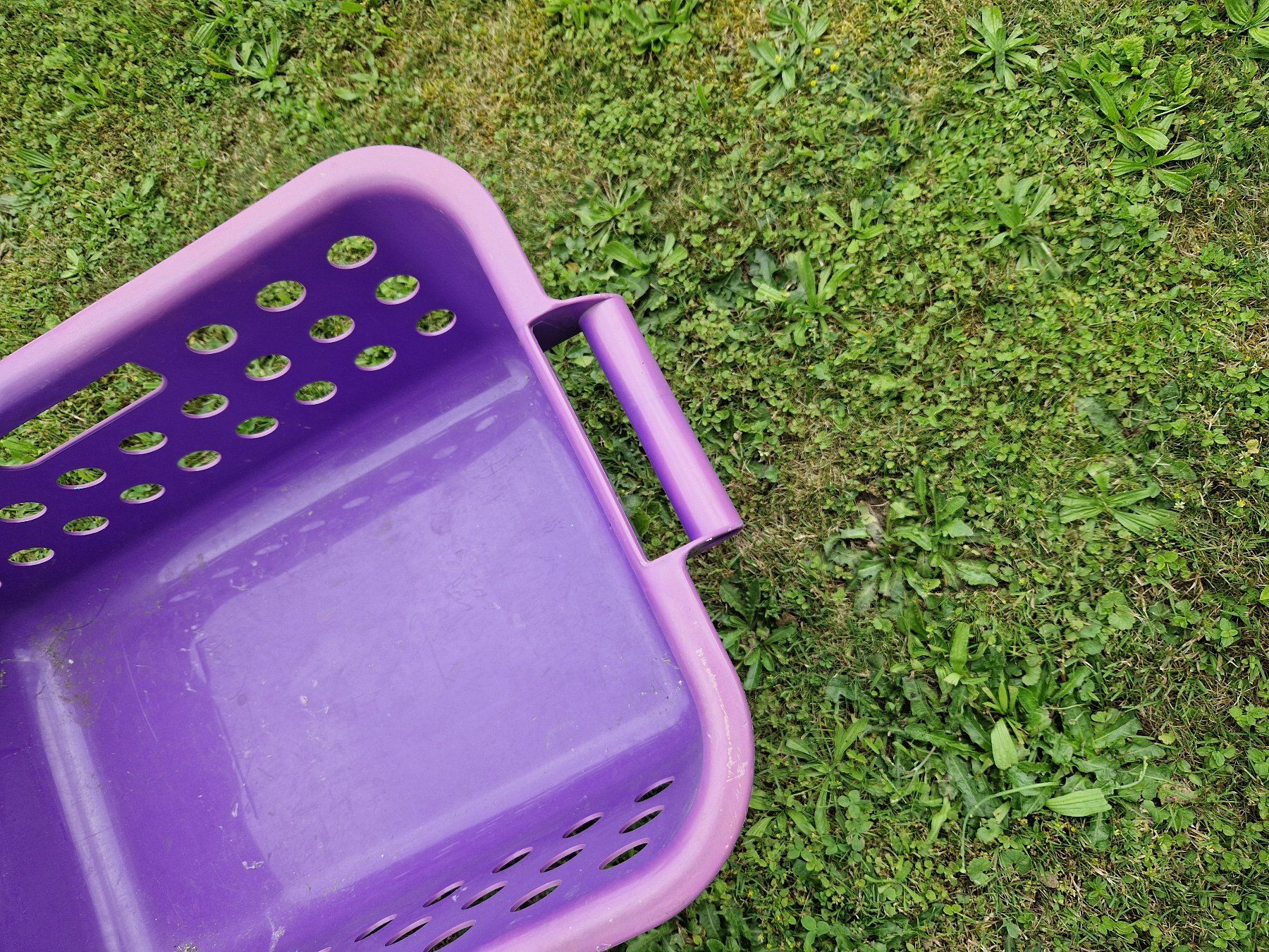 Wäschekörbe: Violetter Wäsche Korb – Gebraucht aus Niederbipp von Trude04 2