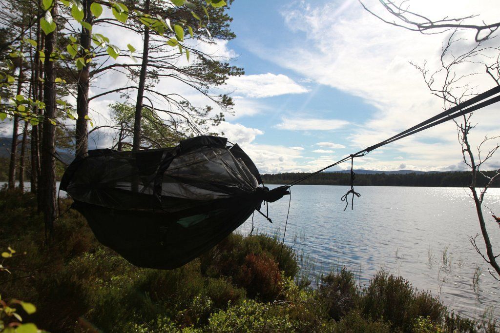 Amache: DD Hammocks DD superlight Jungle Hängematte – Nuovo e nell'imballaggio originale da Tulln venduto da HaengemattenShop 8