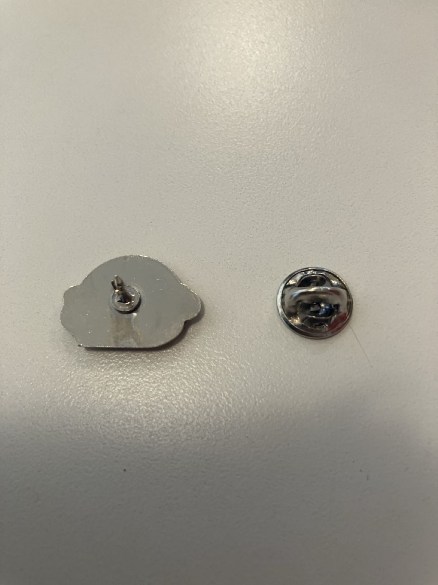 Placchette & Badge: Pin TVS Reisen – Usato da Eschlikon TG venduto da Urs.knopf 1
