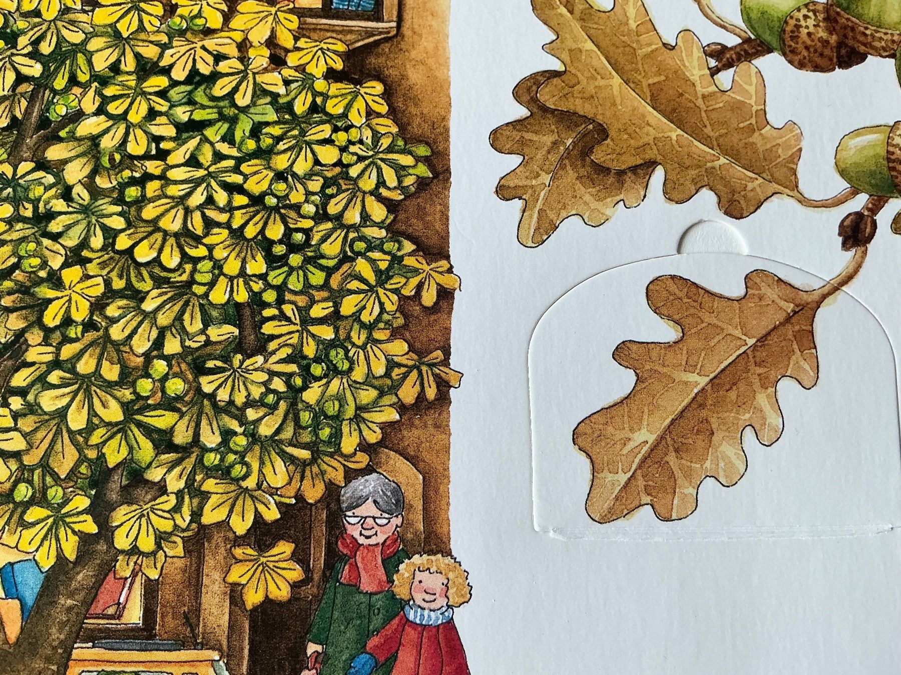 Libri: Wieso? Weshalb? Warum? Herbst-Kinderbuch – Usato da Oberdorf SO venduto da walterrueefli