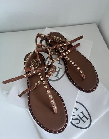 Sandales ASH cloutées style gladiateur marron 