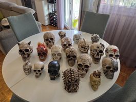 Collection de crânes décoratifs divers et variés