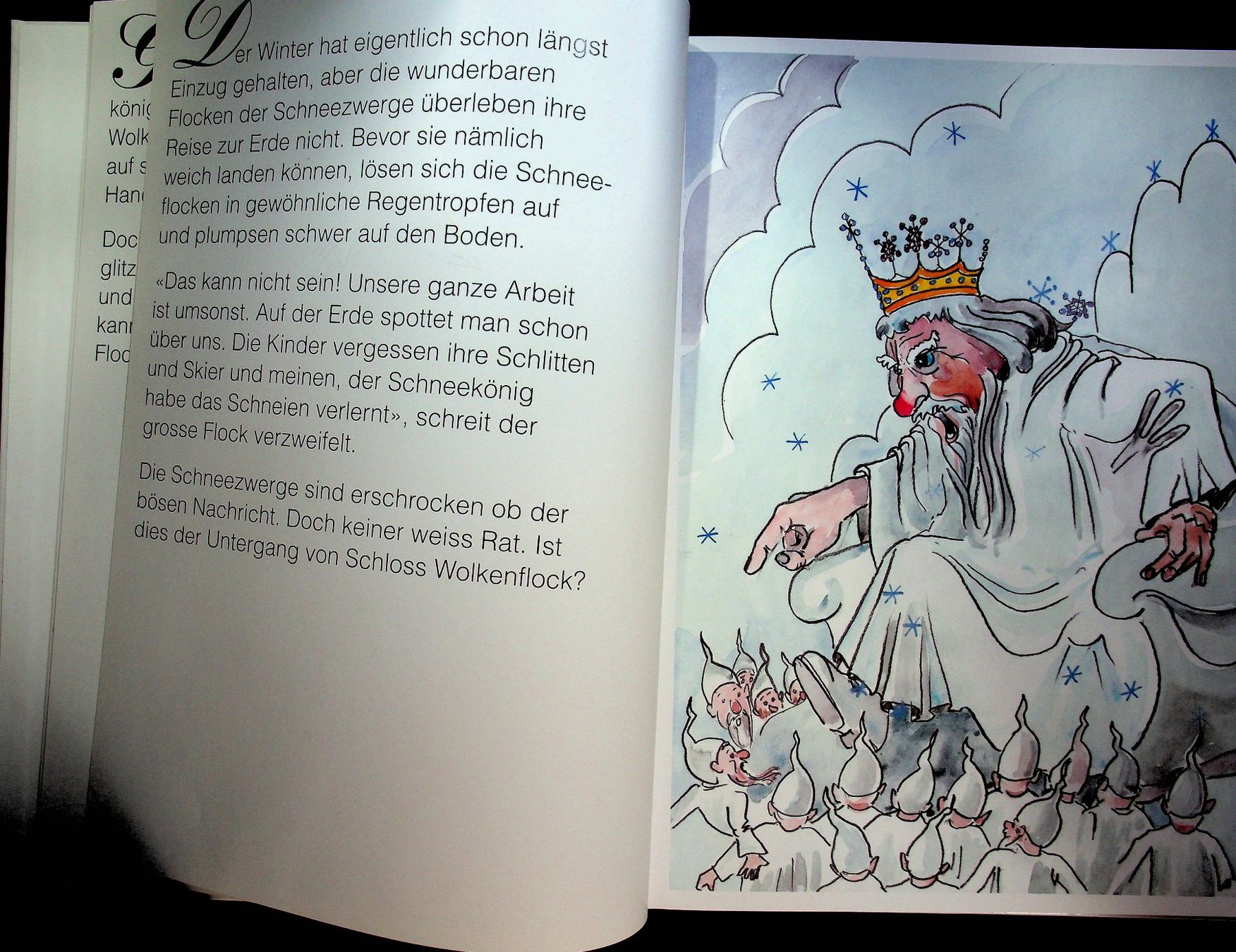 Bücher: Walter Bühler Schneekönig Flock / RAR – Gebraucht aus Reitnau von Zaomir 3