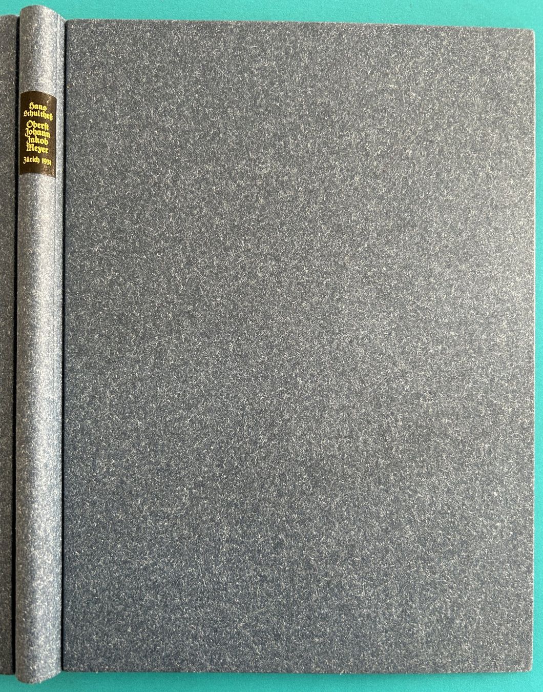 Libri: FREMDE TRUPPEN IN ZÜRICH – Usato da Zürich venduto da Domus09 6