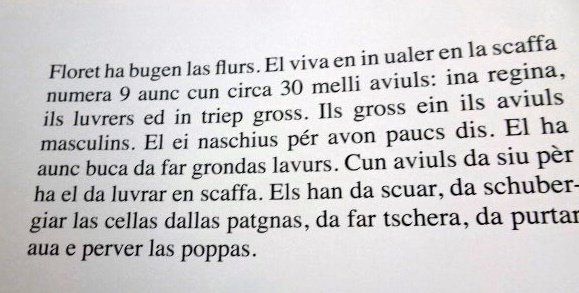 Libri: Kinderbuch Blumen - Floret – Usato da Wetzikon ZH venduto da strubeli024 1