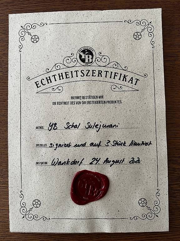 Foulards & écharpes: Limiterter YB - Schal zu verkaufen – D'occasion à Detligen par zaungast17 3