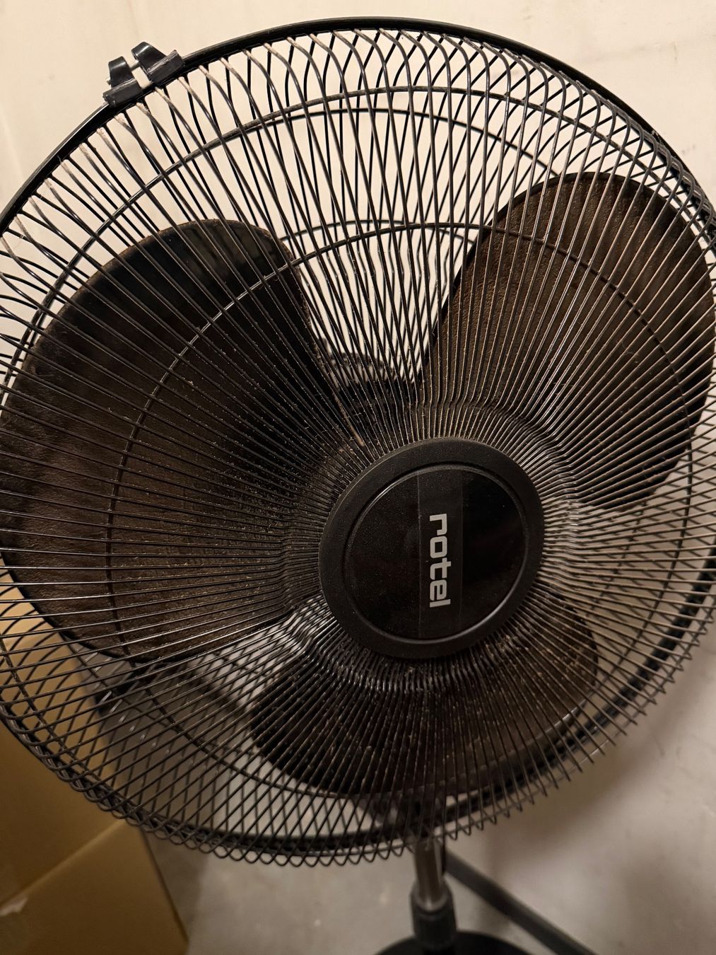 Rotel Ventilatori: Rotel Standventilator – schwarz – Usato da Freienbach venduto da mar_pj28 2