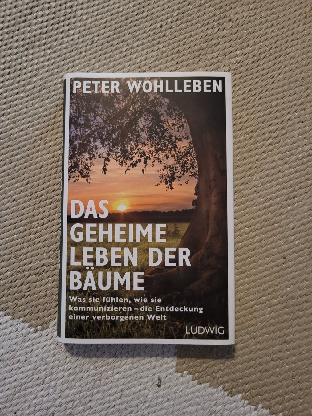 Bücher: Das geheime Leben der Bäume – Gebraucht aus Inwil von
