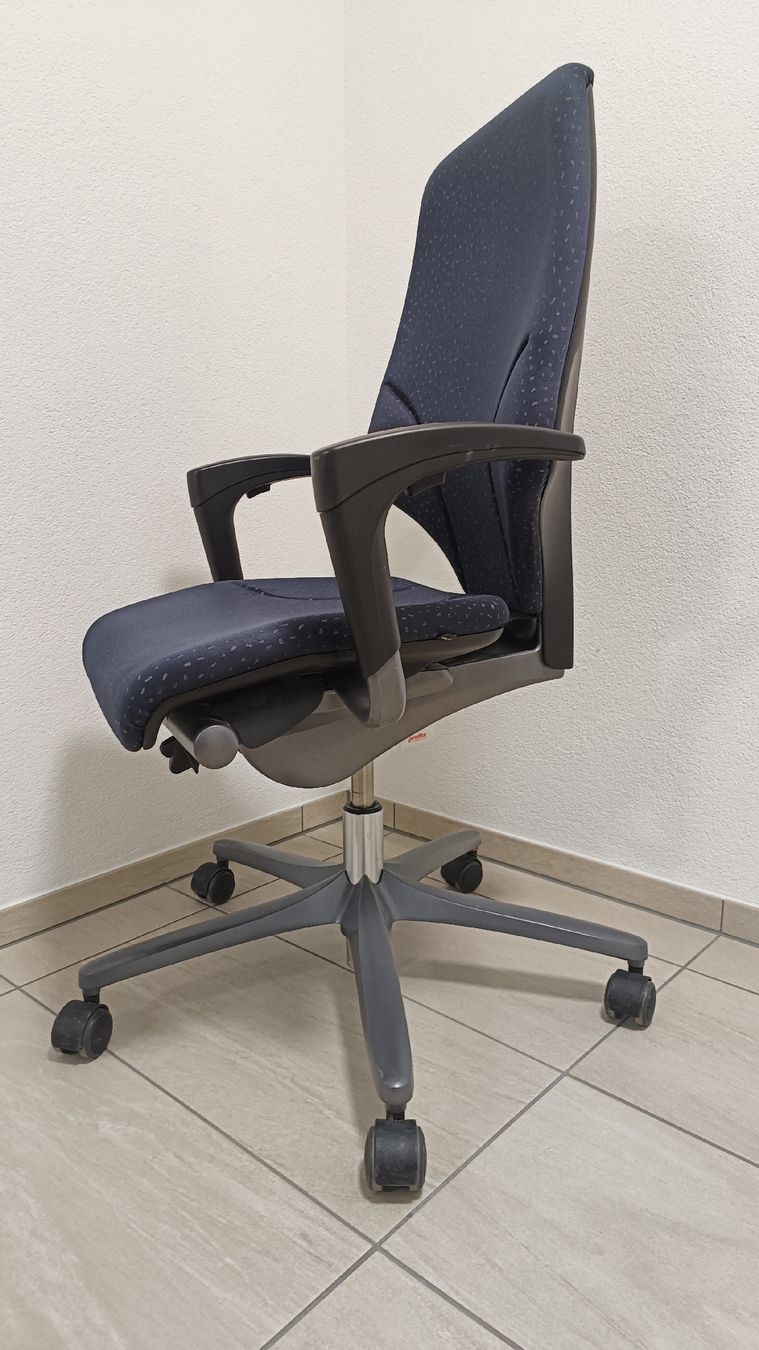 Giroflex Sedie: Bürostuhl Giroflex 64 – Usato da Schmitten FR venduto da oftringen