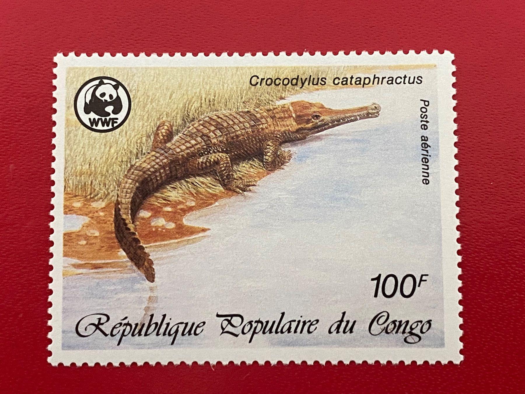 Alle Briefmarken: Timbres - Congo – Neu (gemäss Beschreibung) aus Petit-Lancy von Solcarm 4