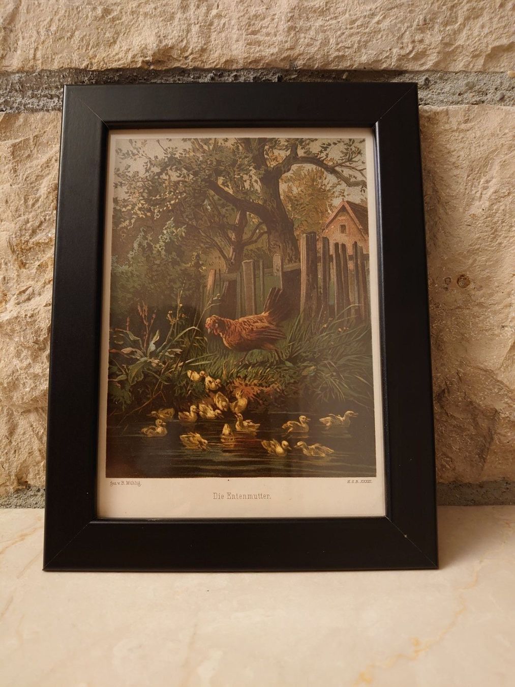 Foto & Immagini: Altes Bild "Die Entenmutter", B. Mühlig – Usato da Abtwil SG venduto da rabbit64