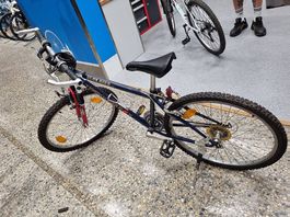 Vélo - Blue Bird - Trekking Fox