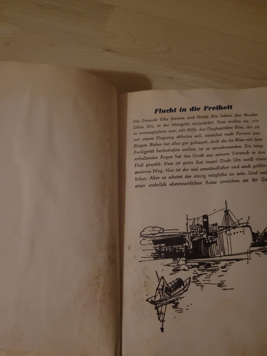 Libri: Flucht in die Freiheit – Usato da Perlen venduto da Safari_23 3