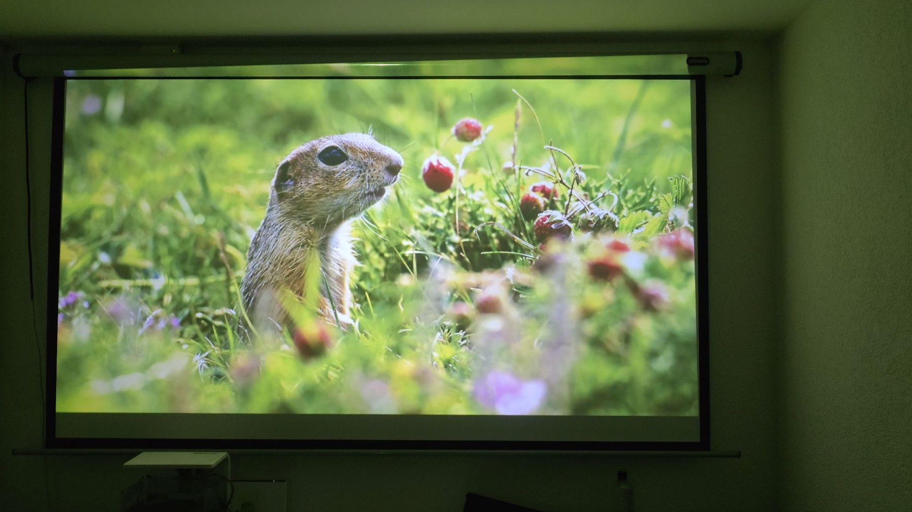 Acer Proiettori: Acer m550 – Usato da Tentlingen venduto da pir_dlj9 5