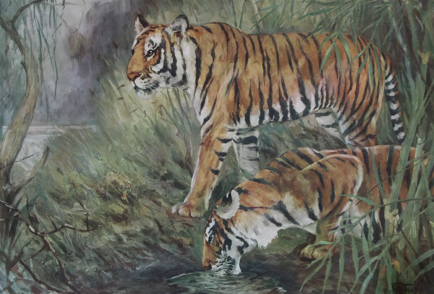 Posters & Illustrations: Schulwandbild, Rollbild "Tiger" – D'occasion à Birrwil par brandschatz_birrwil 1