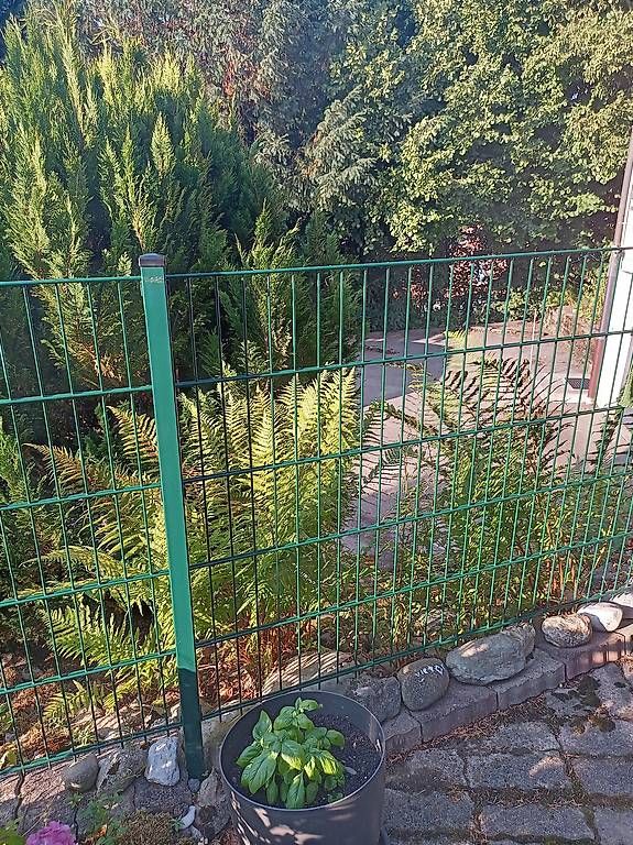 Fendivista: Gartenzaun-Elemente metall grün – Usato da Avenches venduto da the_antagonist01 1
