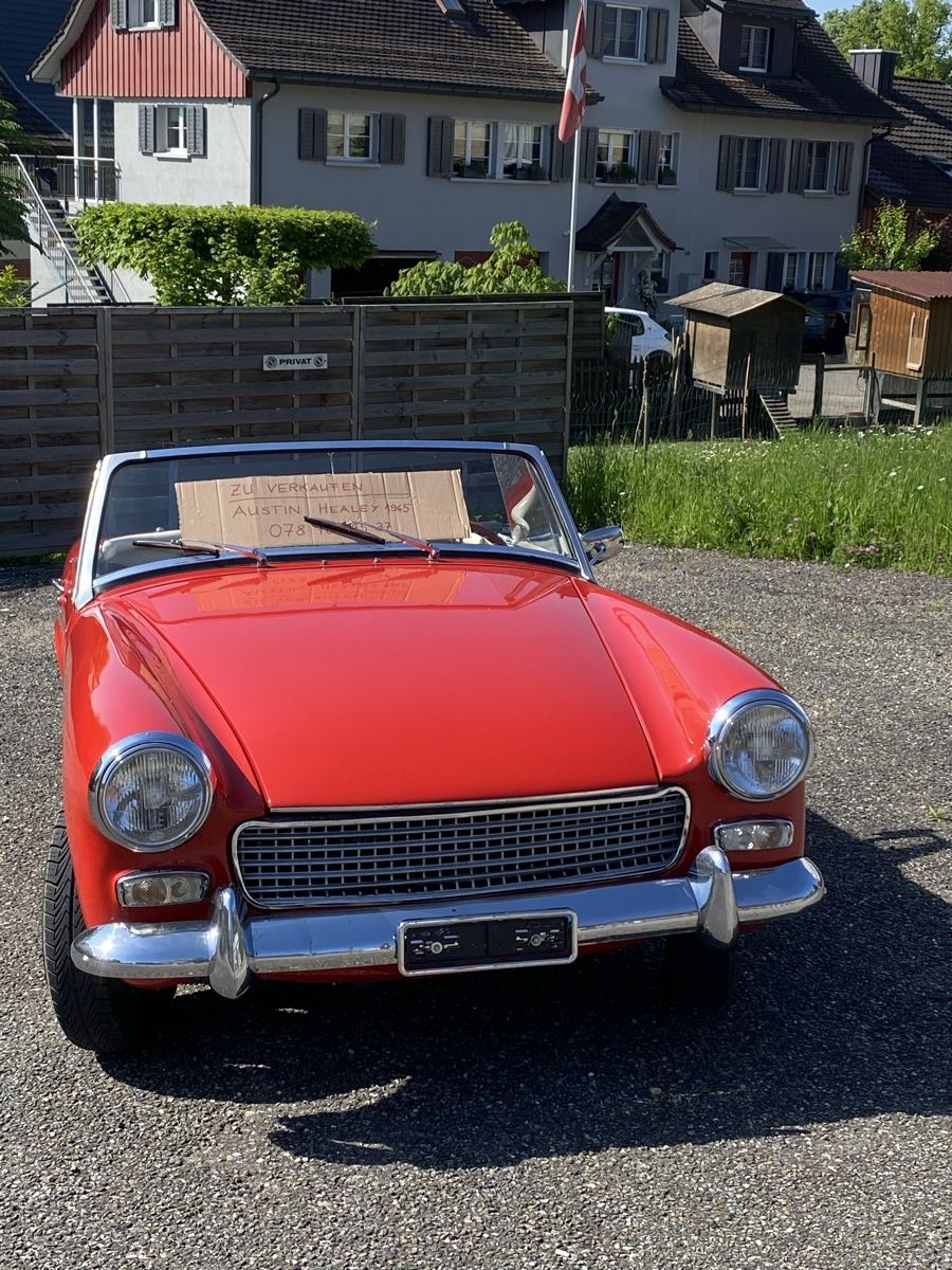 Austin Automobili: Austin-Healey Sprite – Usato da Amriswil venduto da Syra0 1
