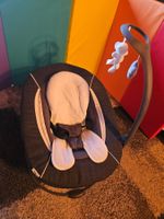 Hauck Alpha Bouncer