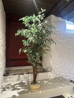 Kunstbaum Feigenbaum mit Topf ca 160cm hoch guter Zustand