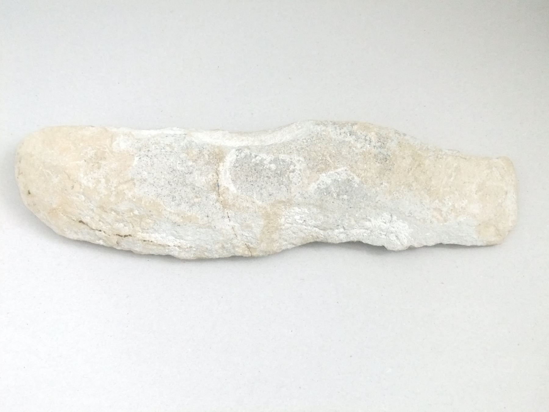 Fossilien: Mineralien Grosser Fisch – Gebraucht aus Esslingen von eintagammeer 4