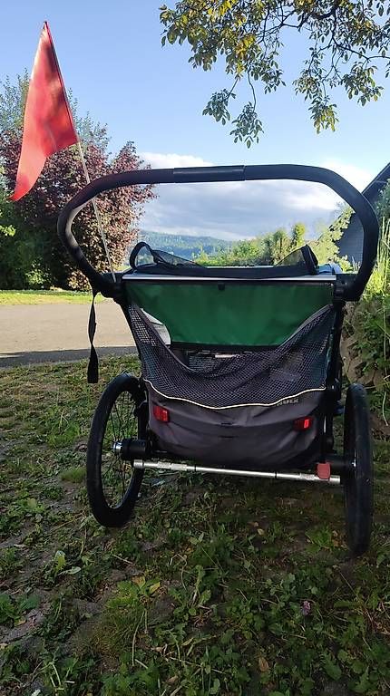 Rimorchi: Thule Lite  – Usato da Habsburg venduto da luk_gr88 1