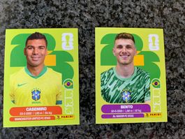 Panini Stickers