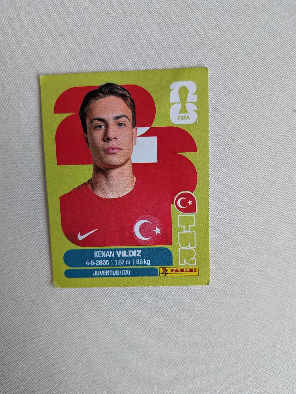 Panini Carte collezionabili: Panini Bild TUR 20 – Usato da Eschenbach SG venduto da SanFranciscoCalifornia