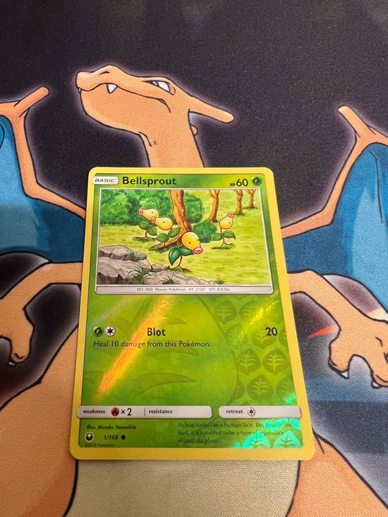 Bellsprout (CES 1) - Reverse Holo - Celestial Storm (Neu (gemäss ...