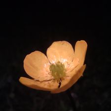 Profile image of gfg_