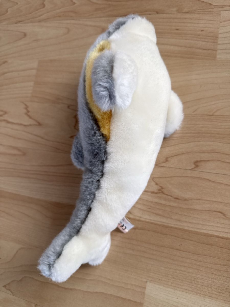 Giocattoli: Plüschtier Delphin – Usato da Dettighofen (Lengwil) venduto da Dolol 2