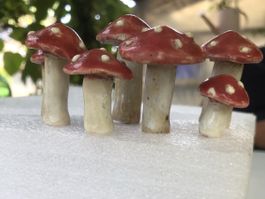 Tonpilzchen selbstgemacht 7 Stk.