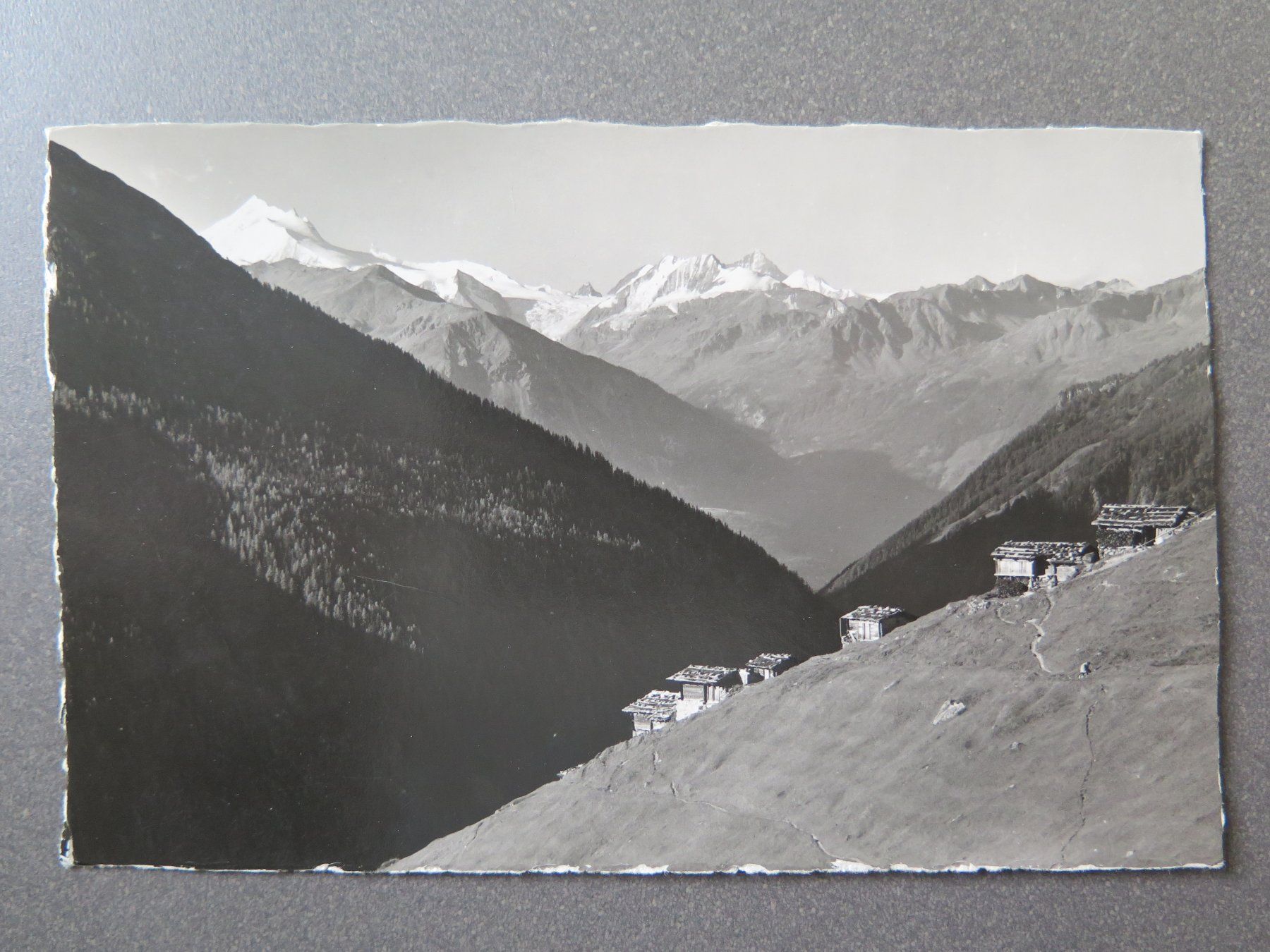 Cartoline postali: LÖTSCHENTAL - ALP LAUCHERN – Usato da Wittenbach venduto da lipasal
