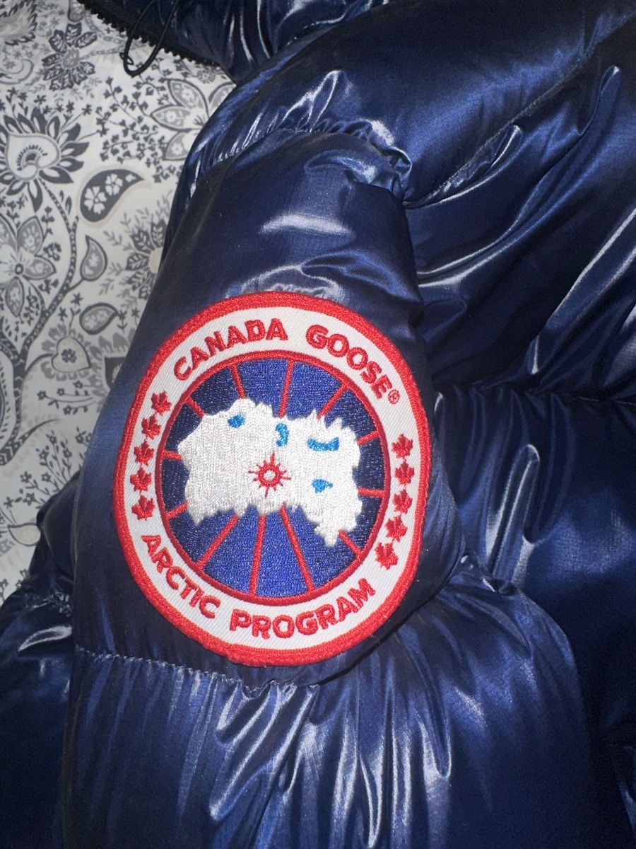 Canada Goose Jacken: Canada Goose, Winterjacke  – Gebraucht aus Humlikon von sve_k7ty 6