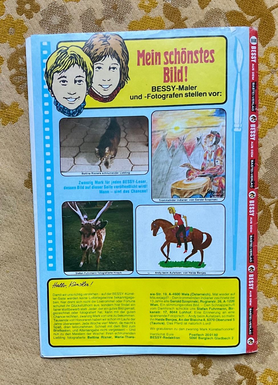 Fumetti: Bessy Heft Nr 800 von 1981 – Usato da Endingen venduto da nathan05 9