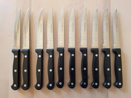 10 Pizzamesser / Steakmesser