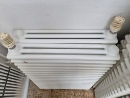 RADIATOR Zehnder | 2 Stück, bereits ausgebaut, gebraucht