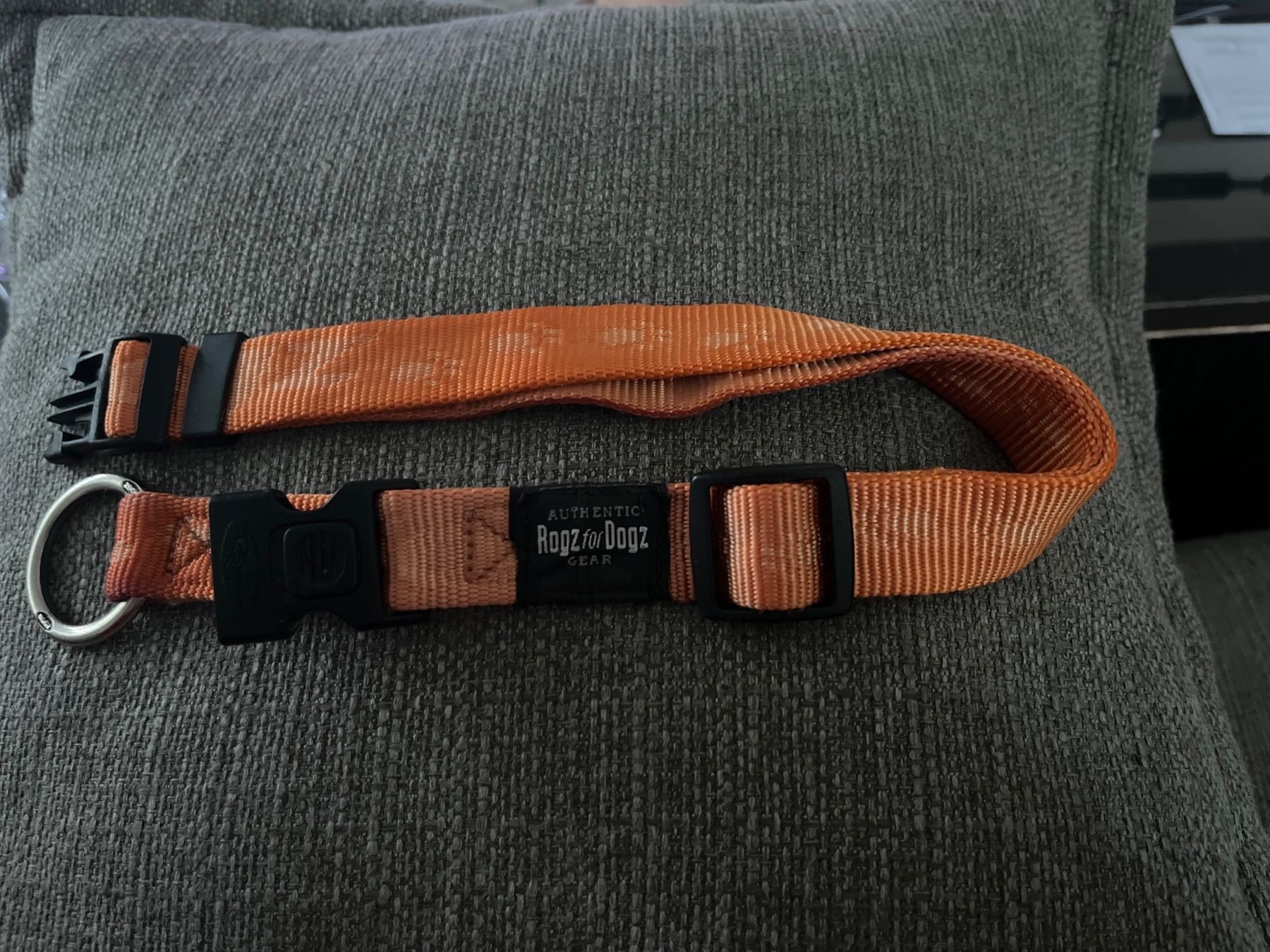 Nastri decorativi: Hundehalsband von Rogz – Usato da Zürich venduto da han_ywp9 2