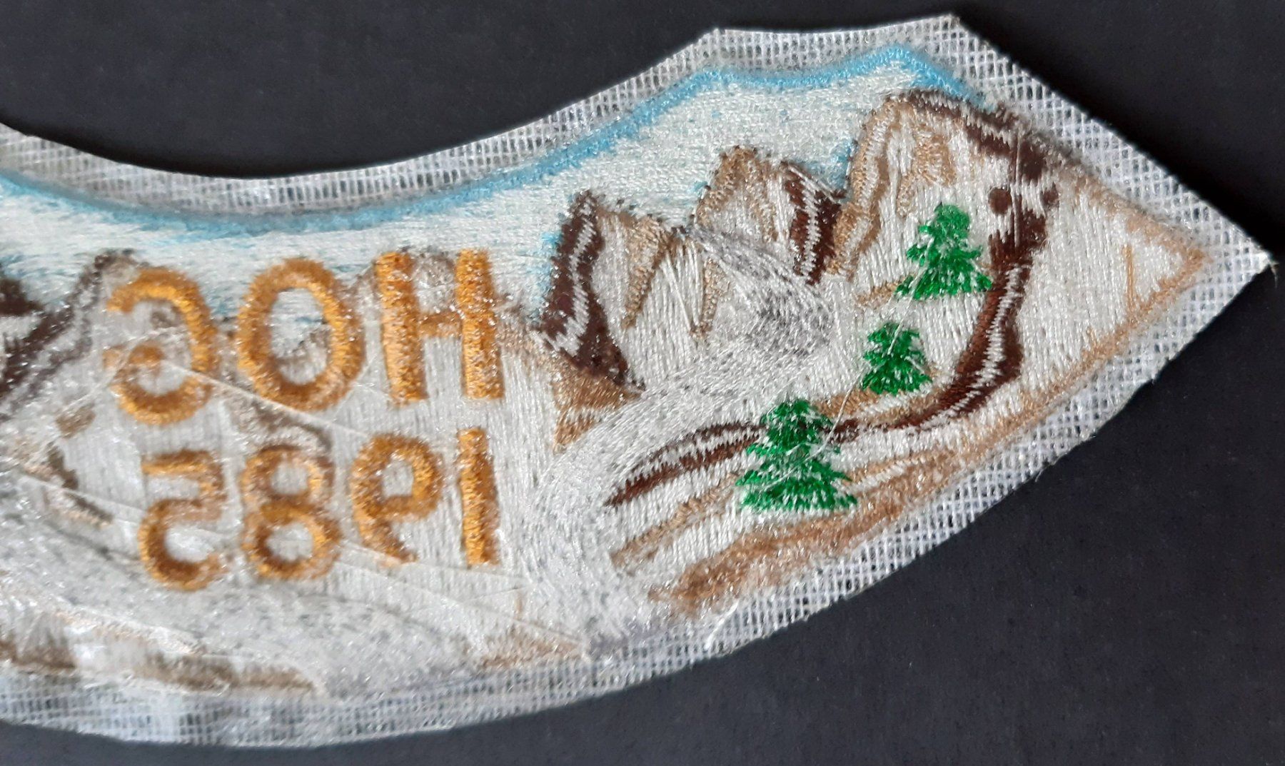 Harley-Davidson Patches: 1985 HARLEY PATCH HOG OWNERS GROUP BIKER – Neu (gemäss Beschreibung) aus Lugano von YouWantUS 6