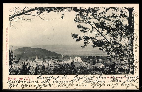 Cartoline postali: AK Wil /SG, Panorama des Ortes – Usato da Berlin venduto da bartko-reher