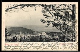 AK Wil /St. Gallen, Panorama des Ortes