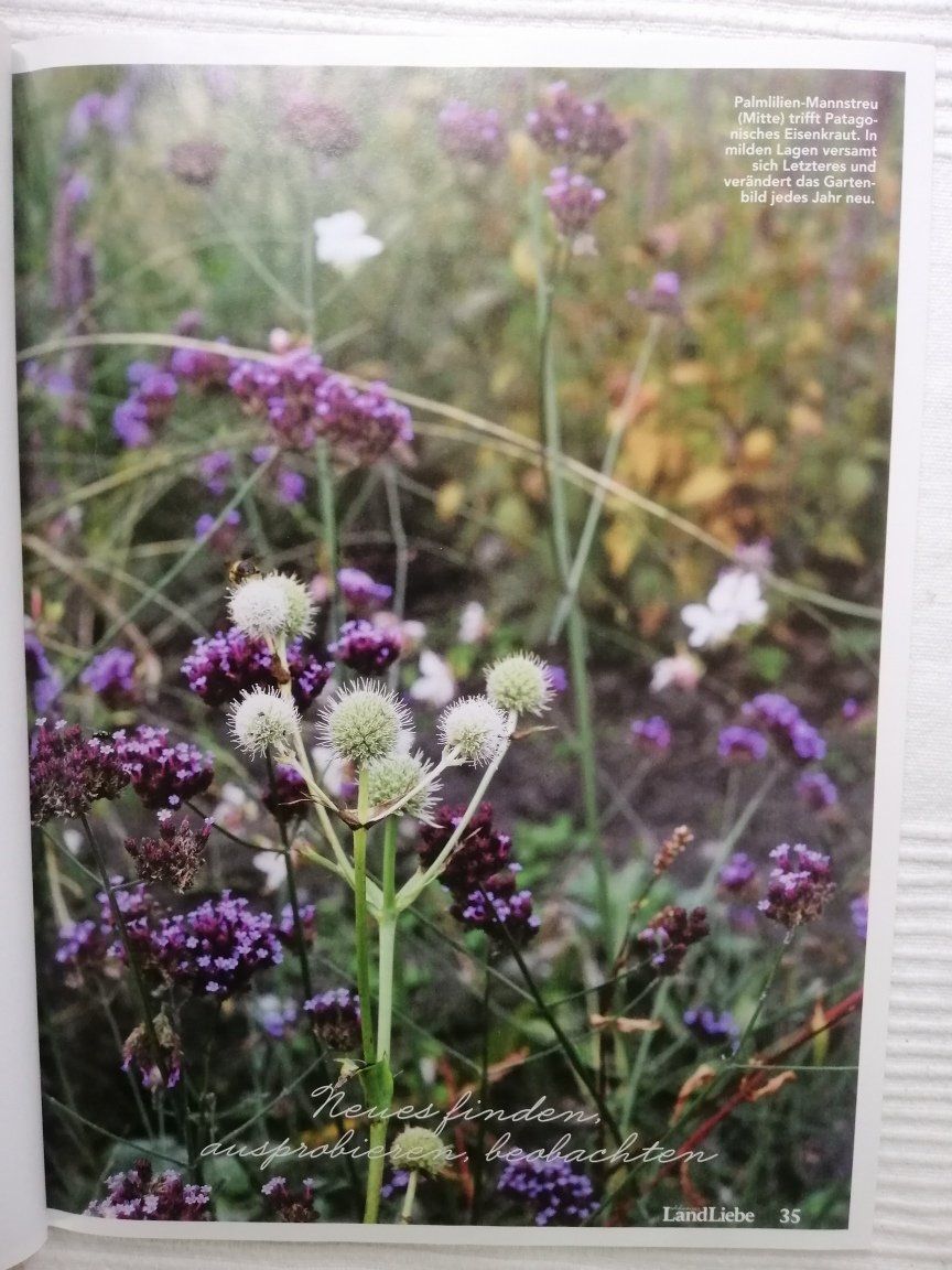 Revues & Magazines: Landliebe Herbst 2020 – D'occasion à Langenthal par Handstrick 4