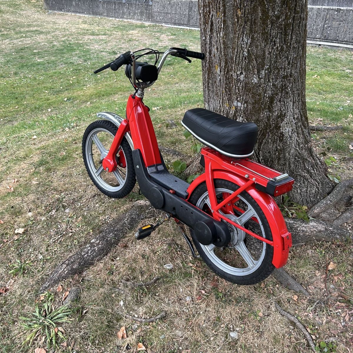 Piaggio Ciclomotori: Piaggio ciao - Top Zustand – Usato da Ipsach venduto da InterEngine 4