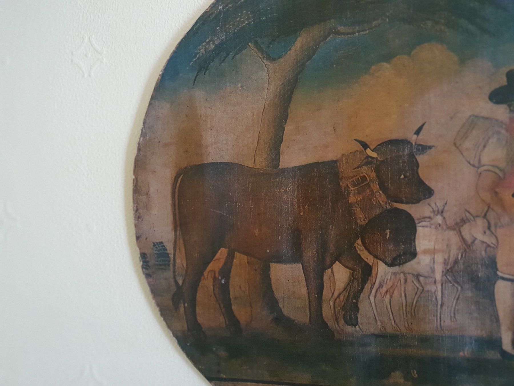 Foto & Immagini: Appenzeller Bild – Usato da Flawil venduto da Naphtali 1