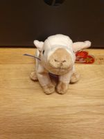 Beanie Baby Knuckles, Schwein, Plüschtier