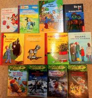 Buchpaket Kinderbuecher 12Stueck guter Zustand. Zwint möglic