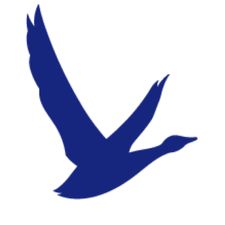 Profile image of greygoose.63