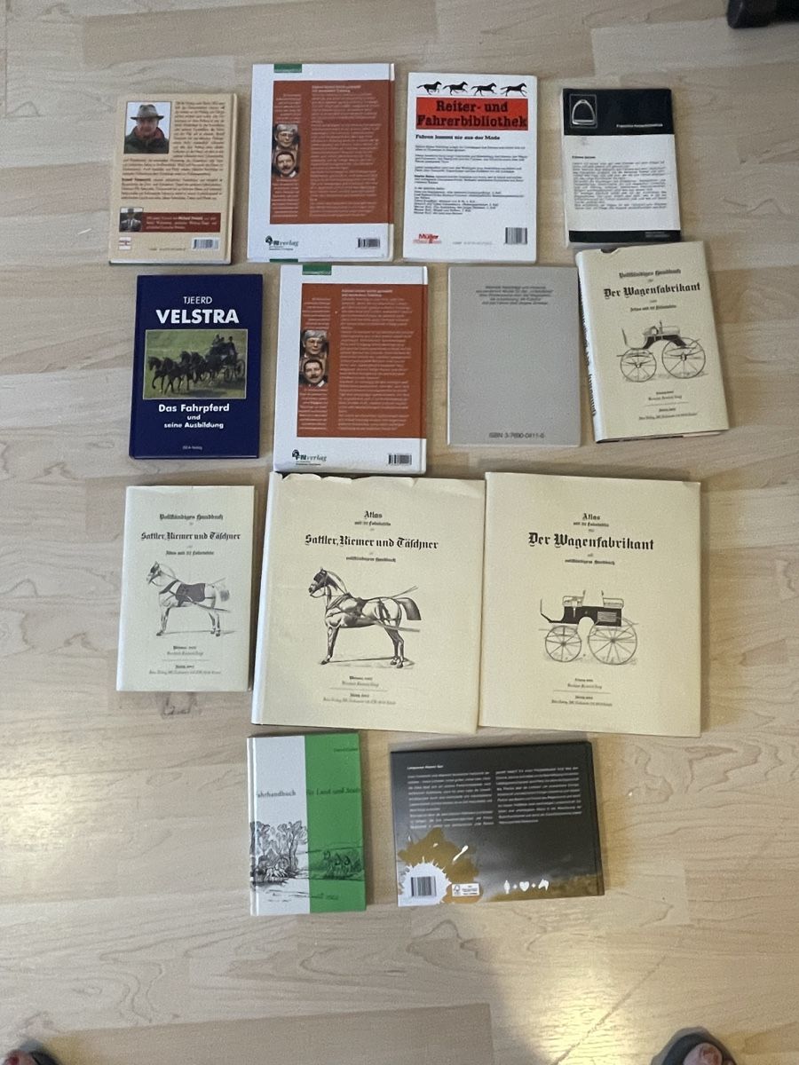 Libri: Lot Pferdebücher Fahren – Usato da Mönthal venduto da Akirebi66 1