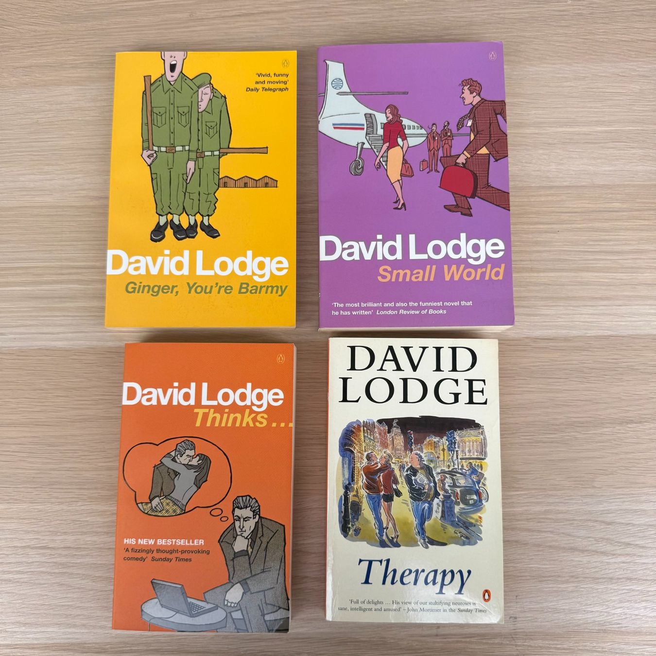 Bücher: Lot de 8 Romans de David Lodge – Gebraucht aus Thônex von Suisse.Shopping 4
