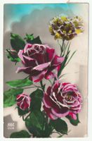 Ansichtskarte Blumen Rosen Gelb Rot Vintage , Gelaufen